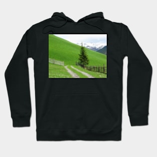 One Tree Hoodie